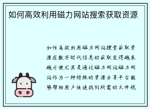 如何高效利用磁力网站搜索获取资源